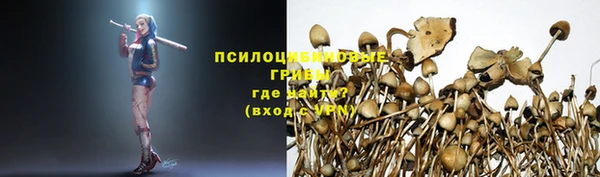 бошки Калининец