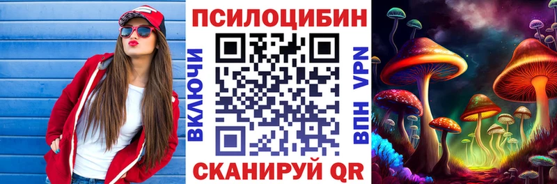 Галлюциногенные грибы Cubensis  Купить  Нязепетровск 